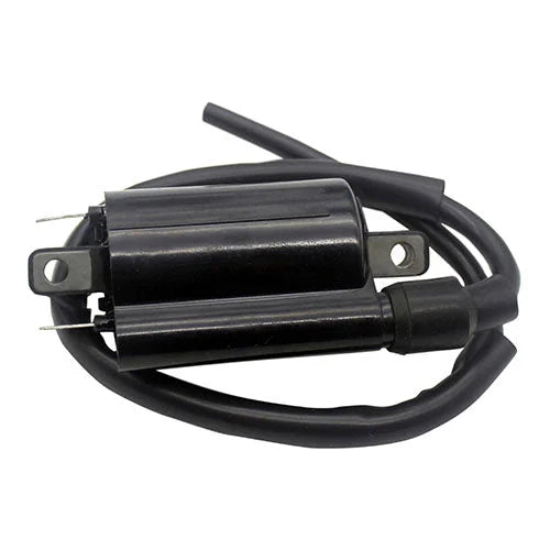 RMSTATOR RMSTATOR EXTERNAL IGNITION COIL RM06066