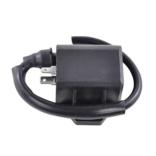 RMSTATOR RMSTATOR EXTERNAL IGNITION COIL RM06120