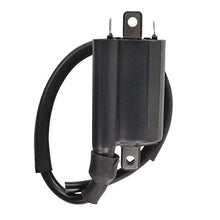Load image into Gallery viewer, RMSTATOR RMSTATOR EXTERNAL IGNITION COIL RM06163