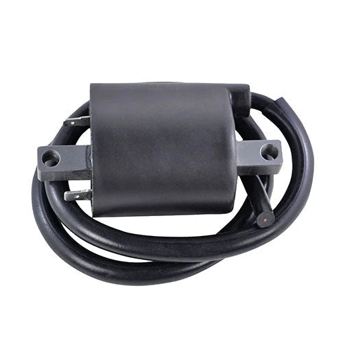 RMSTATOR RMSTATOR EXTERNAL IGNITION COIL RM06168