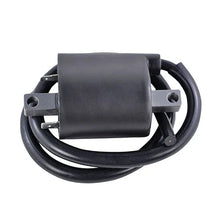 Load image into Gallery viewer, RMSTATOR RMSTATOR EXTERNAL IGNITION COIL RM06168