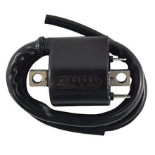 Load image into Gallery viewer, RMSTATOR RMSTATOR EXTERNAL IGNITION COIL RM06170