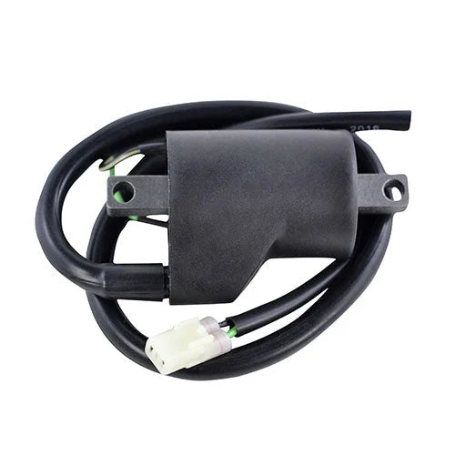 RMSTATOR RMSTATOR EXTERNAL IGNITION COIL RM06174