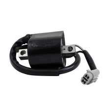 Load image into Gallery viewer, RMSTATOR RMSTATOR EXTERNAL IGNITION COIL RMS060-108721