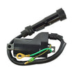 Load image into Gallery viewer, RMSTATOR RMSTATOR EXTERNAL IGNITION COIL WITH SPARK PLUG CAP RM06016
