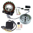 Load image into Gallery viewer, RMSTATOR RMSTATOR FLYWHEEL + PULLER + STATOR + MOSFET REGULATOR + GASK RM23047