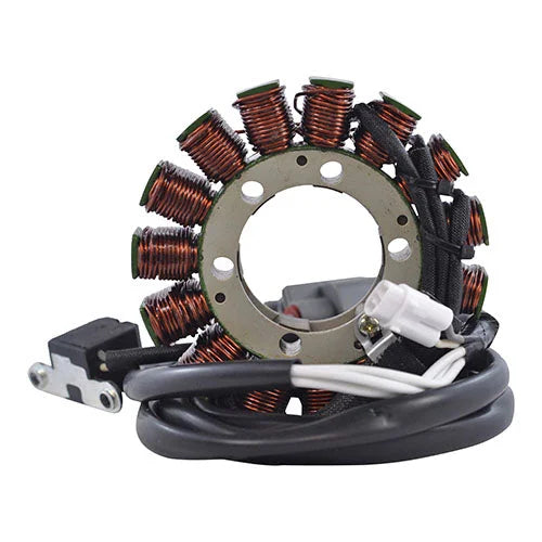 RMSTATOR RMSTATOR GENERATOR STATOR + CRANKCASE COVER GASKET RM01004G - Side View