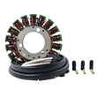 Load image into Gallery viewer, RMSTATOR RMSTATOR GENERATOR STATOR RM01080