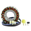 Load image into Gallery viewer, RMSTATOR RMSTATOR GENERATOR STATOR RM01087