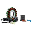 Load image into Gallery viewer, RMSTATOR RMSTATOR GENERATOR STATOR RM01291 - Back View