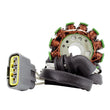 Load image into Gallery viewer, RMSTATOR RMSTATOR GENERATOR STATOR RM01303 - Main Product View