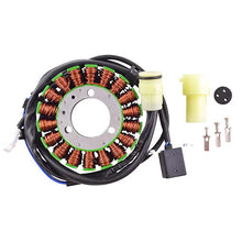 Load image into Gallery viewer, RMSTATOR RMSTATOR GENERATOR STATOR RM01320