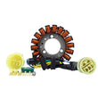 Load image into Gallery viewer, RMSTATOR RMSTATOR GENERATOR STATOR RM01398