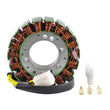 Load image into Gallery viewer, RMSTATOR RMSTATOR GENERATOR STATOR RM01466