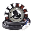 Load image into Gallery viewer, RMSTATOR RMSTATOR GENERATOR STATOR RM01527