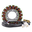 Load image into Gallery viewer, RMSTATOR RMSTATOR GENERATOR STATOR RM01561