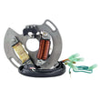 Load image into Gallery viewer, RMSTATOR RMSTATOR HIGH OUTPUT STATOR 75 W RM01091