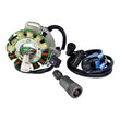 Load image into Gallery viewer, RMSTATOR RMSTATOR KIT STATOR 100 W + EXT IGN COIL + BACKPLATE + PULLER RM22802