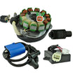 Load image into Gallery viewer, RMSTATOR RMSTATOR KIT STATOR 200 W RM22856