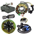 Load image into Gallery viewer, RMSTATOR RMSTATOR KIT STATOR 200 W RM22857