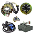 Load image into Gallery viewer, RMSTATOR RMSTATOR KIT STATOR 200W AC REGULATOR CDI BOX COIL FLYWHEEL RM23010