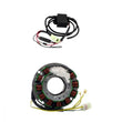 Load image into Gallery viewer, RMSTATOR RMSTATOR KIT STATOR + CDI MODULE RMS900-108303
