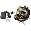 Load image into Gallery viewer, RMSTATOR RMSTATOR KIT STATOR + HP CDI BOX RM22815