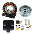 Load image into Gallery viewer, RMSTATOR RMSTATOR KIT STATOR + IMPROVED MAGNETO FLYWHEEL + REG REC RM23018