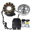 Load image into Gallery viewer, RMSTATOR RMSTATOR KIT STATOR RM22873