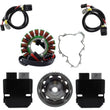 Load image into Gallery viewer, RMSTATOR RMSTATOR REVOLT VOLT REG + SPLYT STATOR + FLYWHEEL + GASKET RMS020-107990