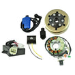 Load image into Gallery viewer, RMSTATOR RMSTATOR STATOR + REGULATOR + CDI + COIL + FLYWHEEL + PULLER RM22844