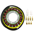 Load image into Gallery viewer, RMSTATOR RMSTATOR STATOR RM01021
