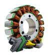 Load image into Gallery viewer, RMSTATOR RMSTATOR STATOR RM01120 - Side View