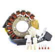 Load image into Gallery viewer, RMSTATOR RMSTATOR STATOR RM01298