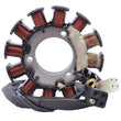 Load image into Gallery viewer, RMSTATOR RMSTATOR STATOR RM01301