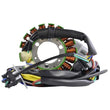 Load image into Gallery viewer, RMSTATOR RMSTATOR STATOR RM01316 - Installation View