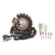 Load image into Gallery viewer, RMSTATOR RMSTATOR STATOR RM01377
