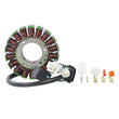 Load image into Gallery viewer, RMSTATOR RMSTATOR STATOR RM01396