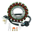 Load image into Gallery viewer, RMSTATOR RMSTATOR STATOR RM01411