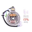 Load image into Gallery viewer, RMSTATOR RMSTATOR STATOR RM01421