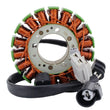 Load image into Gallery viewer, RMSTATOR RMSTATOR STATOR RMS010-106977 - Main Product View