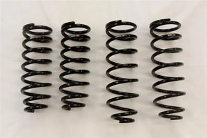 RS-R 01-06 Lexus LS430 (UCF30/31) Down Sus Springs - Main Product View
