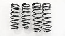 Load image into Gallery viewer, RS-R 01-06 Lexus LS430 (UCF30/31) Super Down Springs - Side View