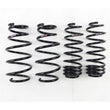 Load image into Gallery viewer, RS-R 09-13 Honda Fit (GE8) Down Sus Springs - Main Product View