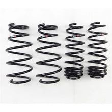 Load image into Gallery viewer, RS-R 09-13 Honda Fit (GE8) Down Sus Springs - Main Product View