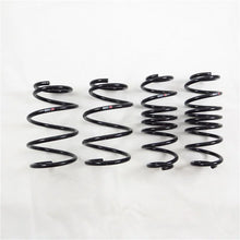 Load image into Gallery viewer, RS-R 11+ Toyota Prius V (ZVW40W) Super Down Springs - Main Product View