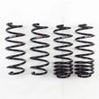 Load image into Gallery viewer, RS-R 12+ Mitsubishi Mirage (A05A) Down Sus Springs - Main Product View