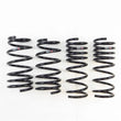 Load image into Gallery viewer, RS-R 13-16 Scion FR-S (ZN6) Super Down Springs - Main Product View