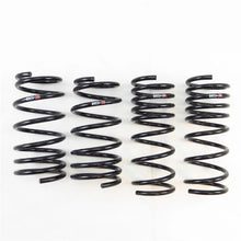 Load image into Gallery viewer, RS-R 13-16 Scion FR-S (ZN6) Super Down Springs - Main Product View