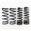 Load image into Gallery viewer, RS-R 13+ Lexus GS350 RWD F-Sport (GRL10) Super Down Springs - Main Product View